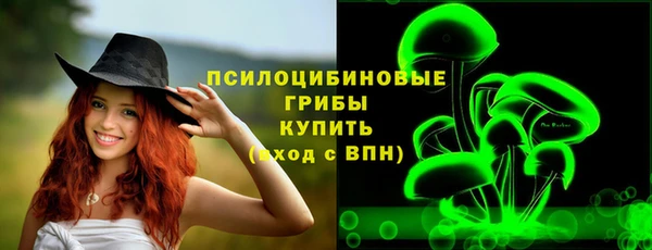 трава Бронницы