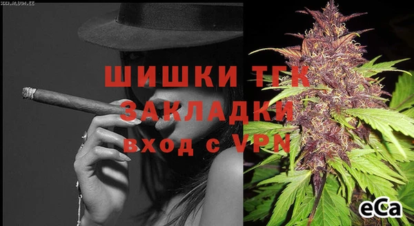 амф Верея