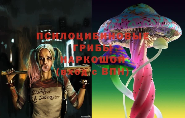 соль курить ск Михайлов