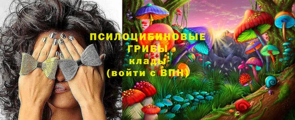 соль курить ск Михайлов